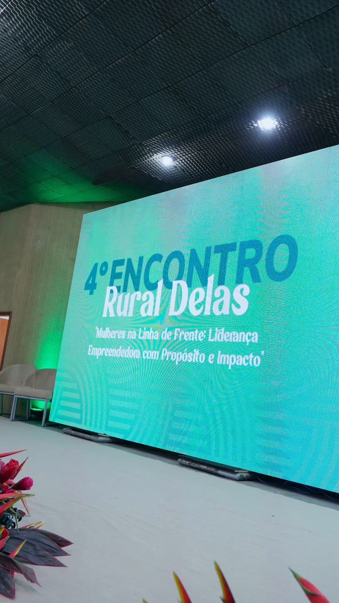 Reel Rural Delas do Sicredi
